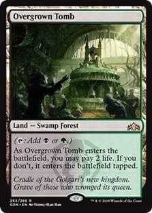 Overgrown Tomb [Guilds of Ravnica] MTG Single Magic: The Gathering  | Multizone: Comics And Games