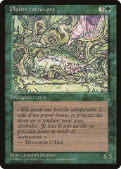 Carnivorous Plant (French) - "Plante carnivore" [Renaissance] MTG Single Magic: The Gathering  | Multizone: Comics And Games