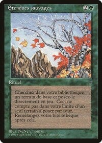 Untamed Wilds (French) - "Etendues sauvages" [Renaissance] MTG Single Magic: The Gathering  | Multizone: Comics And Games