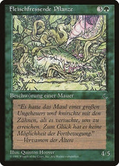 Carnivorous Plant (German) - "Fleischfressende Pflanze" [Renaissance] MTG Single Magic: The Gathering  | Multizone: Comics And Games