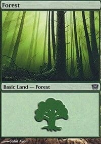 Forest [Ninth Edition] MTG Single Magic: The Gathering  | Multizone: Comics And Games