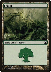 Forest [Time Spiral] MTG Single Magic: The Gathering  | Multizone: Comics And Games