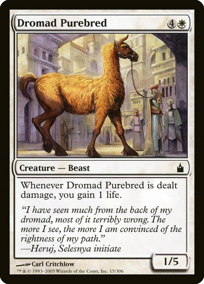 Dromad Purebred [Ravnica: City of Guilds] MTG Single Magic: The Gathering  | Multizone: Comics And Games
