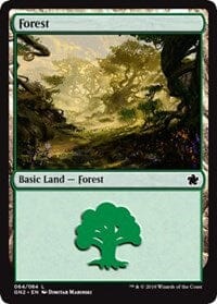 Forest (64) [Magic Game Night 2019] MTG Single Magic: The Gathering  | Multizone: Comics And Games