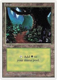 Forest (B) [Summer Magic] MTG Single Magic: The Gathering  | Multizone: Comics And Games