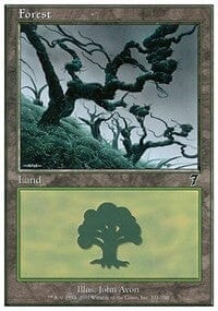 Forest [Seventh Edition] MTG Single Magic: The Gathering  | Multizone: Comics And Games