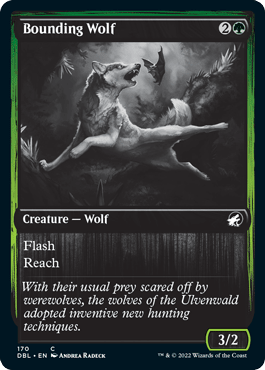 Bounding Wolf [Innistrad: Double Feature] MTG Single Magic: The Gathering  | Multizone: Comics And Games