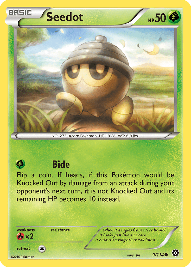 Seedot (9/114) [XY: Steam Siege] Pokemon Single Pokémon  | Multizone: Comics And Games