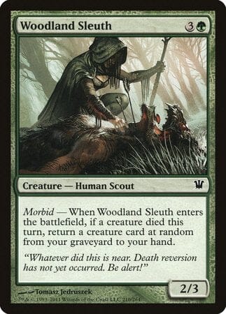 Woodland Sleuth [Innistrad] MTG Single Magic: The Gathering  | Multizone: Comics And Games