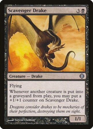 Scavenger Drake [Shards of Alara] MTG Single Magic: The Gathering  | Multizone: Comics And Games