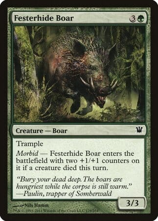 Festerhide Boar [Innistrad] MTG Single Magic: The Gathering  | Multizone: Comics And Games