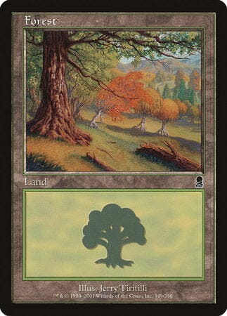Forest (349) [Odyssey] MTG Single Magic: The Gathering  | Multizone: Comics And Games