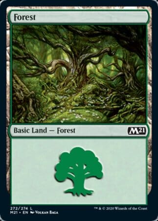 Forest [Core Set 2021] MTG Single Magic: The Gathering  | Multizone: Comics And Games