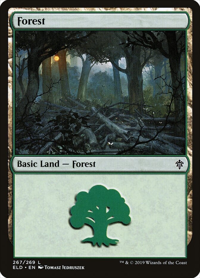 Forest (267) [Throne of Eldraine] MTG Single Magic: The Gathering  | Multizone: Comics And Games