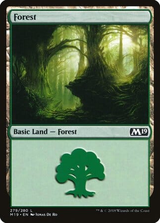Forest (279) [Core Set 2019] MTG Single Magic: The Gathering  | Multizone: Comics And Games