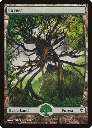 Forest (249) - Full Art [Zendikar] MTG Single Magic: The Gathering  | Multizone: Comics And Games