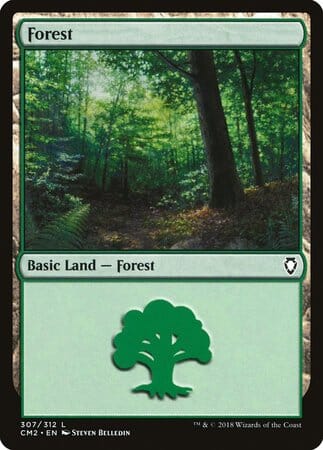 Forest (307) [Commander Anthology Volume II] MTG Single Magic: The Gathering  | Multizone: Comics And Games