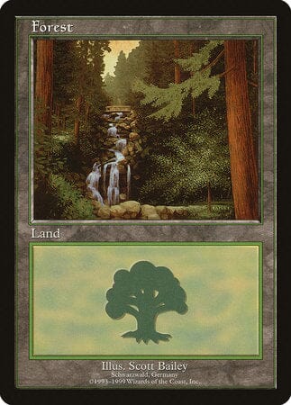 Forest - Schwarzwald [European Land Program] MTG Single Magic: The Gathering  | Multizone: Comics And Games
