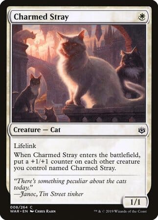 Charmed Stray [War of the Spark] MTG Single Magic: The Gathering  | Multizone: Comics And Games