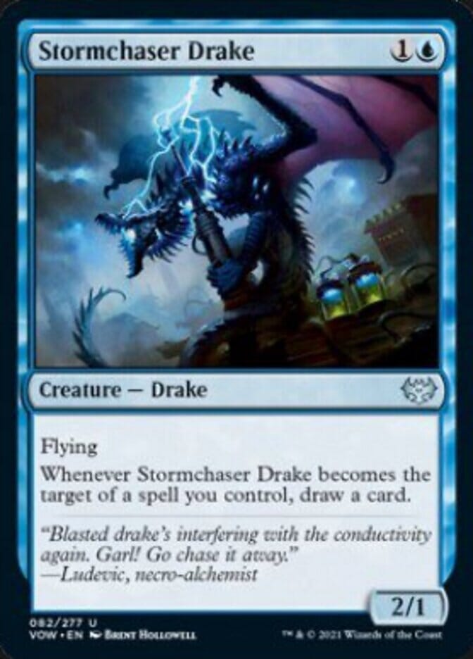 Stormchaser Drake [Innistrad: Crimson Vow] MTG Single Magic: The Gathering  | Multizone: Comics And Games