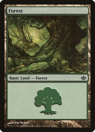 Forest (31) [Duel Decks: Garruk vs. Liliana] MTG Single Magic: The Gathering  | Multizone: Comics And Games