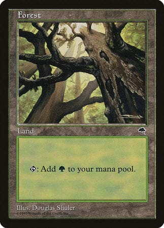 Forest (Skyward) [Tempest] MTG Single Magic: The Gathering  | Multizone: Comics And Games