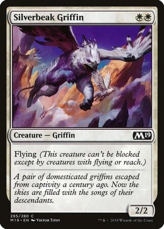 Silverbeak Griffin [Core Set 2019] MTG Single Magic: The Gathering  | Multizone: Comics And Games
