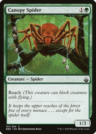 Canopy Spider [Battlebond] MTG Single Magic: The Gathering  | Multizone: Comics And Games
