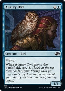 Augury Owl [Jumpstart 2022] MTG Single Magic: The Gathering  | Multizone: Comics And Games