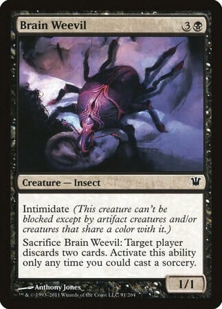 Brain Weevil [Innistrad] MTG Single Magic: The Gathering  | Multizone: Comics And Games