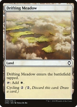 Drifting Meadow [Commander Anthology Volume II] MTG Single Magic: The Gathering  | Multizone: Comics And Games