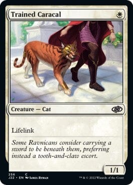 Trained Caracal [Jumpstart 2022] MTG Single Magic: The Gathering  | Multizone: Comics And Games
