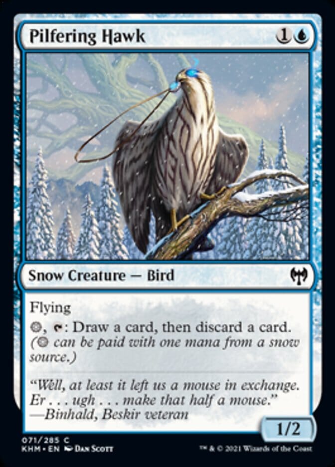 Pilfering Hawk [Kaldheim] MTG Single Magic: The Gathering  | Multizone: Comics And Games