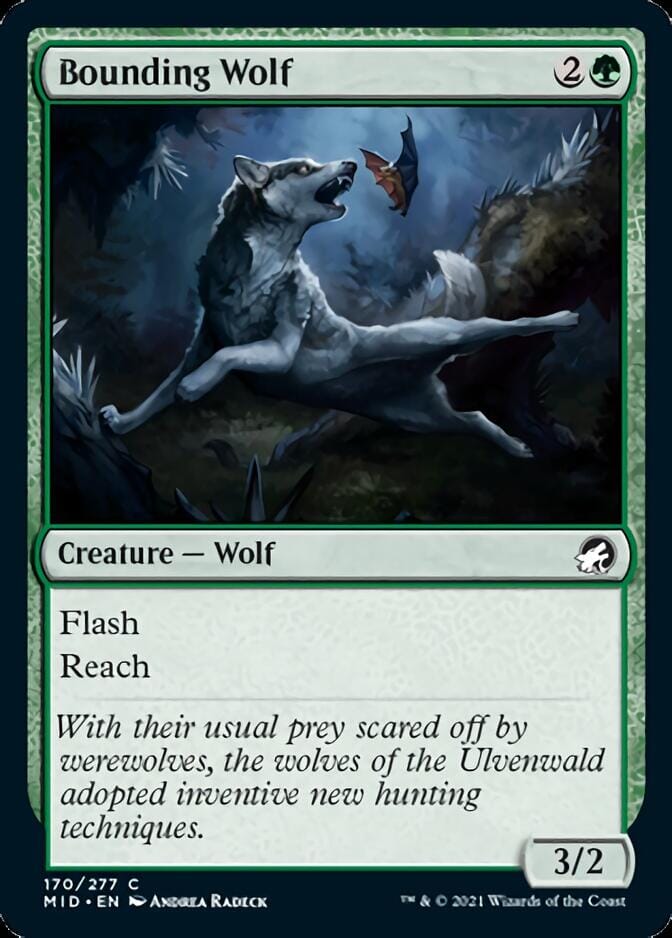 Bounding Wolf [Innistrad: Midnight Hunt] MTG Single Magic: The Gathering  | Multizone: Comics And Games