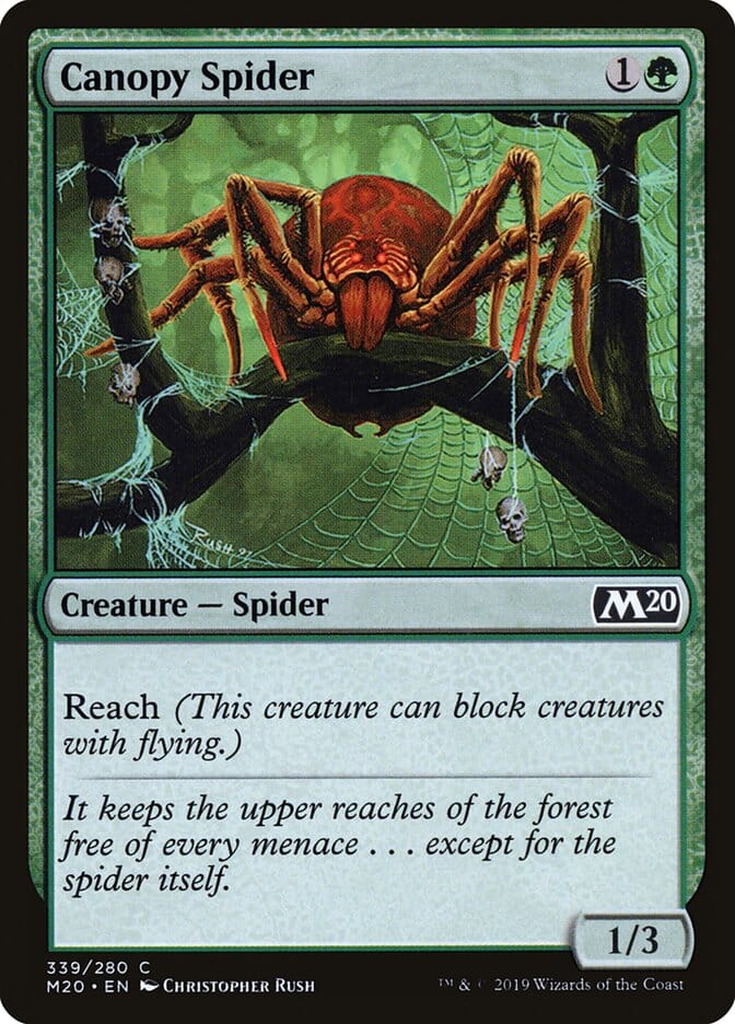 Canopy Spider [Core Set 2020] MTG Single Magic: The Gathering  | Multizone: Comics And Games