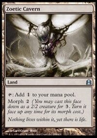 Zoetic Cavern [Commander 2011] MTG Single Magic: The Gathering  | Multizone: Comics And Games