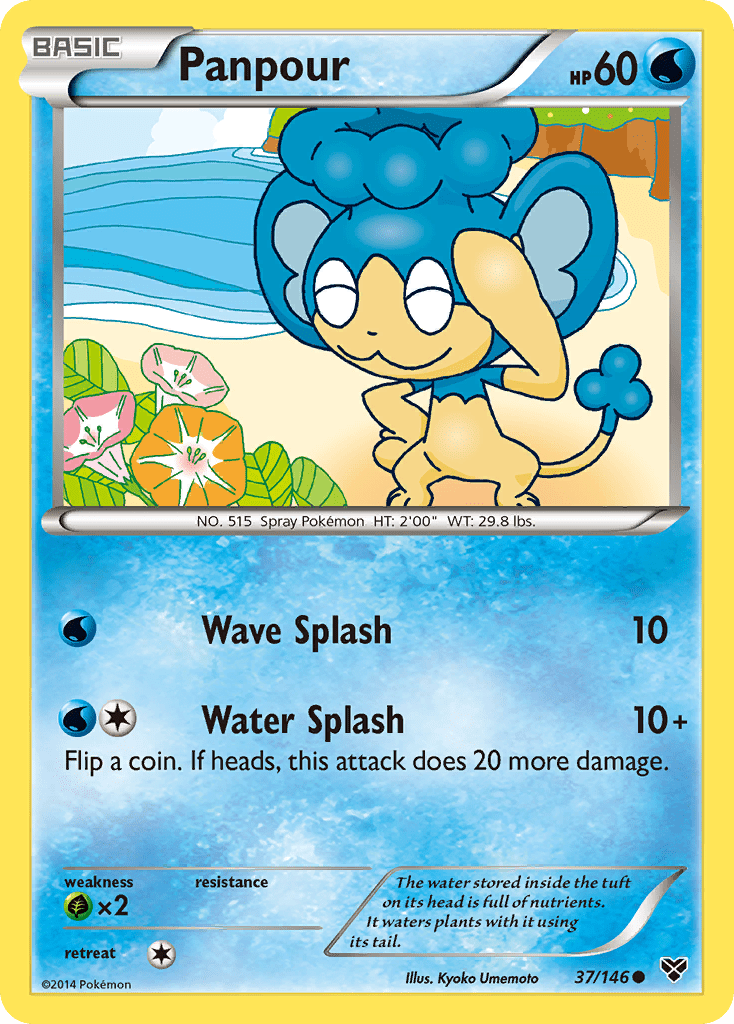 Panpour (37/146) [XY: Base Set] Pokemon Single Pokémon  | Multizone: Comics And Games