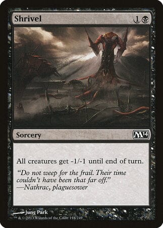 Shrivel [Magic 2014] MTG Single Magic: The Gathering  | Multizone: Comics And Games