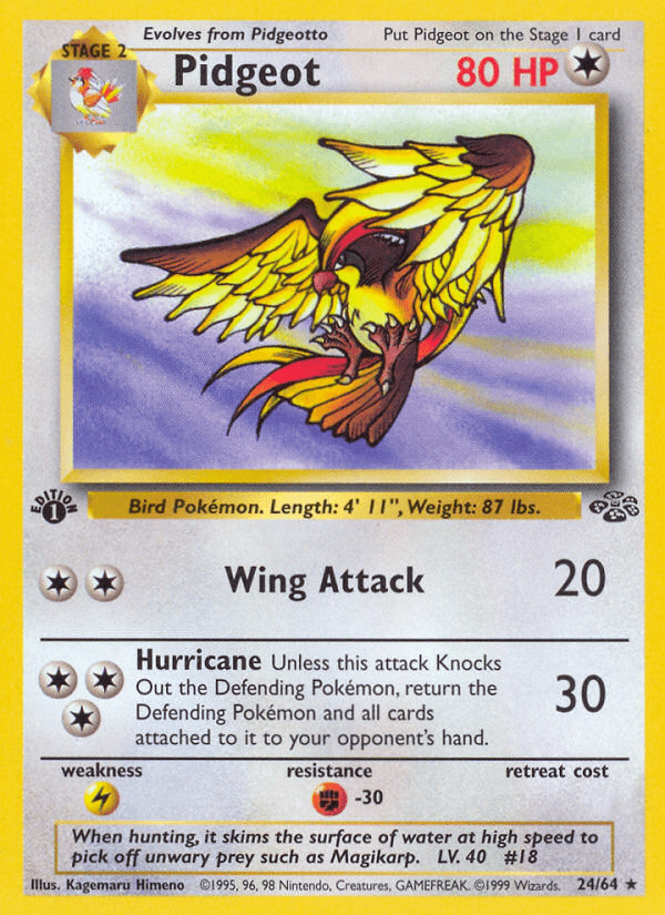 Pidgeot (24/64) [Jungle 1st Edition] Pokemon Single Pokémon  | Multizone: Comics And Games