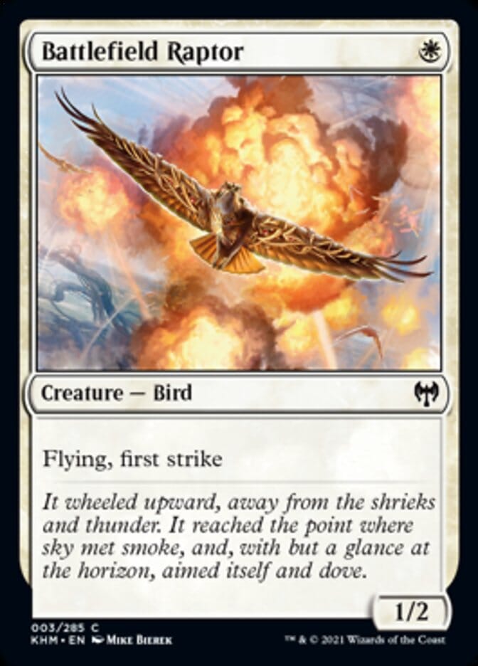 Battlefield Raptor [Kaldheim] MTG Single Magic: The Gathering  | Multizone: Comics And Games