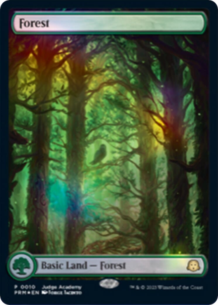 Forest [Judge Gift Cards 2023] MTG Single Magic: The Gathering  | Multizone: Comics And Games