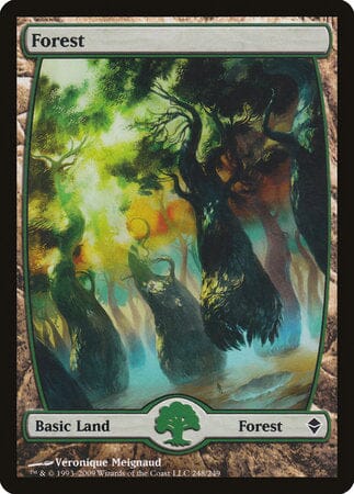 Forest (248) - Full Art [Zendikar] MTG Single Magic: The Gathering  | Multizone: Comics And Games