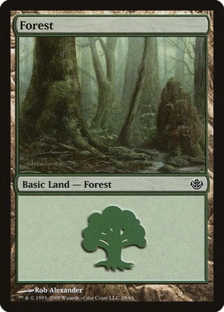 Forest (28) [Duel Decks: Garruk vs. Liliana] MTG Single Magic: The Gathering  | Multizone: Comics And Games