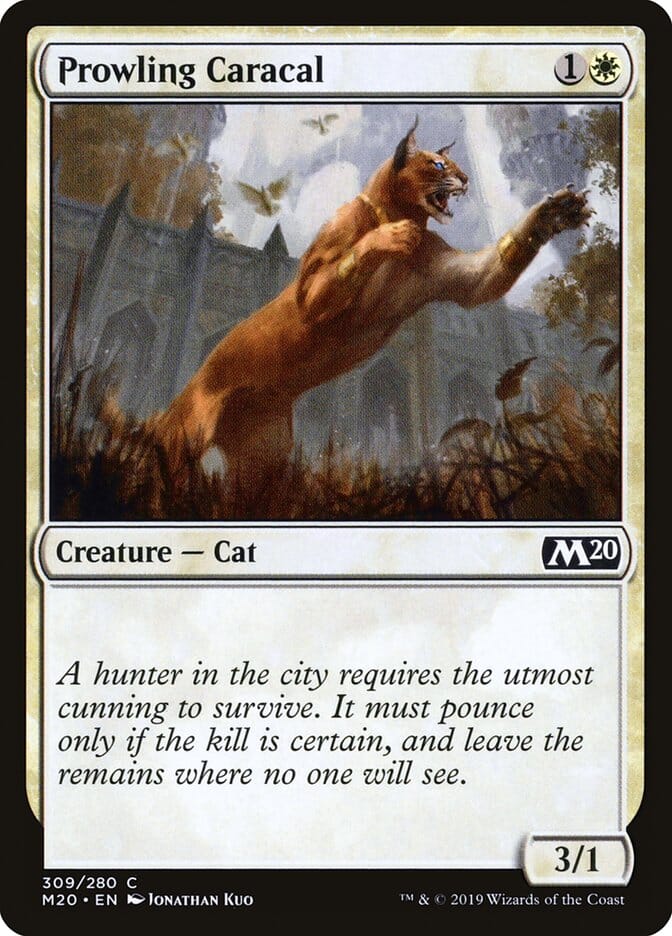 Prowling Caracal [Core Set 2020] MTG Single Magic: The Gathering  | Multizone: Comics And Games