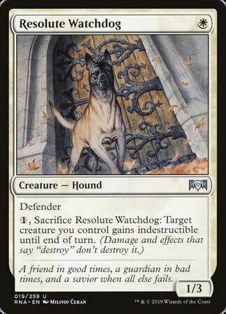 Resolute Watchdog [Ravnica Allegiance] MTG Single Magic: The Gathering  | Multizone: Comics And Games