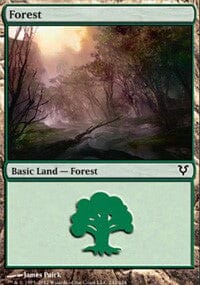 Forest [Avacyn Restored] MTG Single Magic: The Gathering  | Multizone: Comics And Games