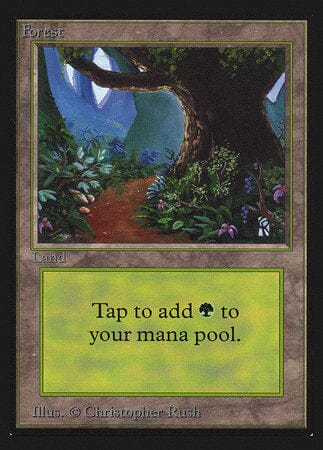 Forest (Path)(IE) [Intl. Collectors’ Edition] MTG Single Magic: The Gathering  | Multizone: Comics And Games
