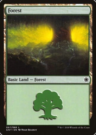 Forest (67) [Game Night] MTG Single Magic: The Gathering  | Multizone: Comics And Games
