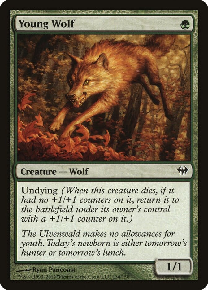 Young Wolf [Dark Ascension] MTG Single Magic: The Gathering  | Multizone: Comics And Games