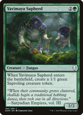Yavimaya Sapherd [Dominaria] MTG Single Magic: The Gathering  | Multizone: Comics And Games